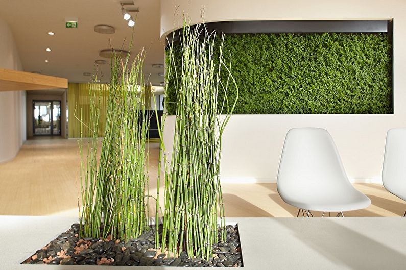 Бамбук в интерьере – новый тренд эко-дизайна (50 фото-идей)