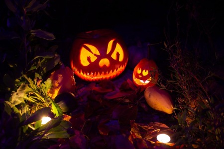 Украшения на Хэллоуин своими руками: как оригинально украсить комнату к празднику