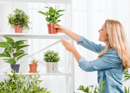 От стекла до растений: эксперты о том, как правильно зонировать пространство