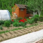 Планировка дачного участка: составляем план-схему