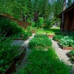Планировка дачного участка: составляем план-схему