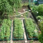 Планировка дачного участка: составляем план-схему