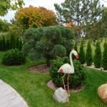 Планировка дачного участка: составляем план-схему