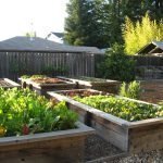 Грядки из досок