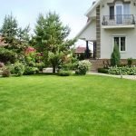 Цветник перед домом