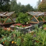 Теплицы на участке