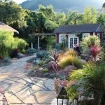 Песчаник во дворе