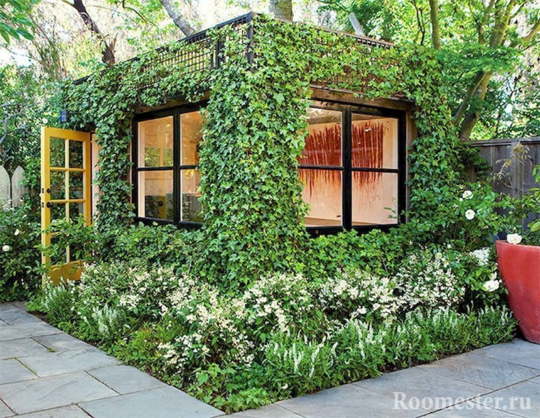 Плющ на стенах