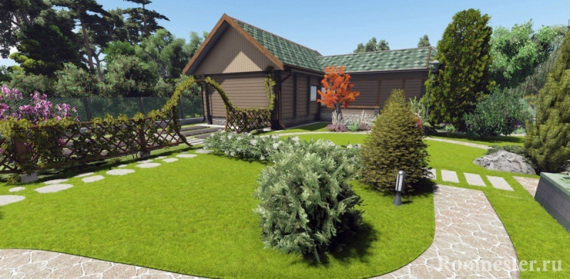 Растения на участке