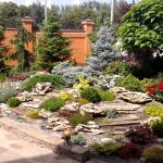 Ели у забора