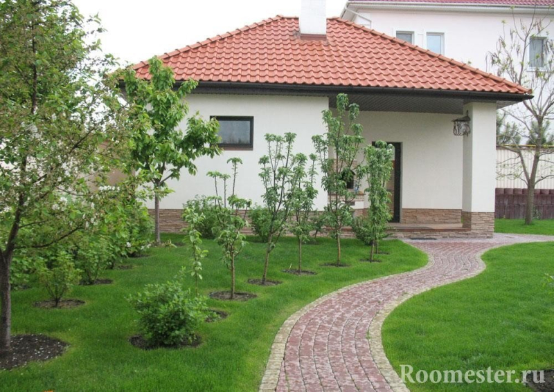 Деревья рядом с домом