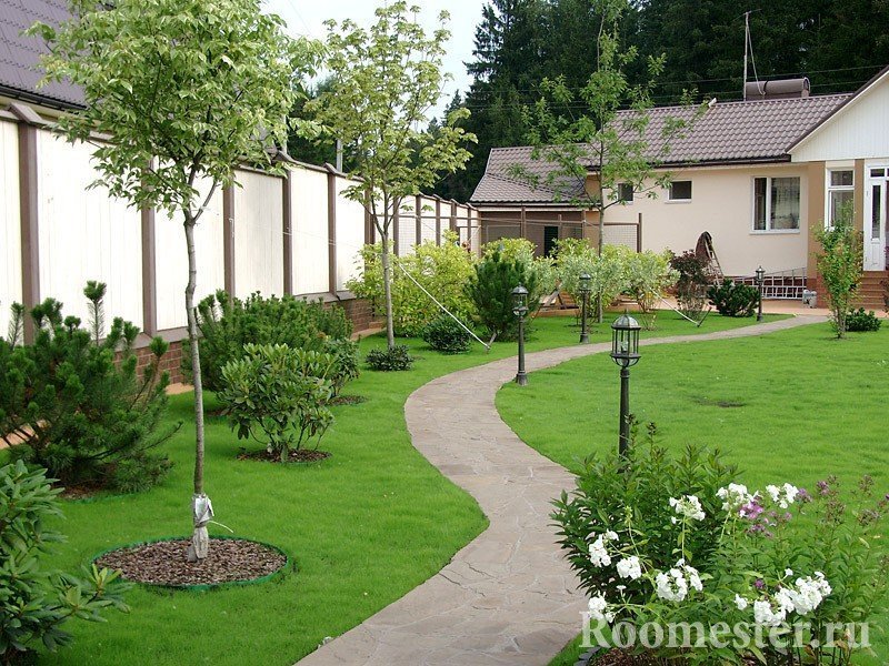 Деревья и кустарники вдоль забора