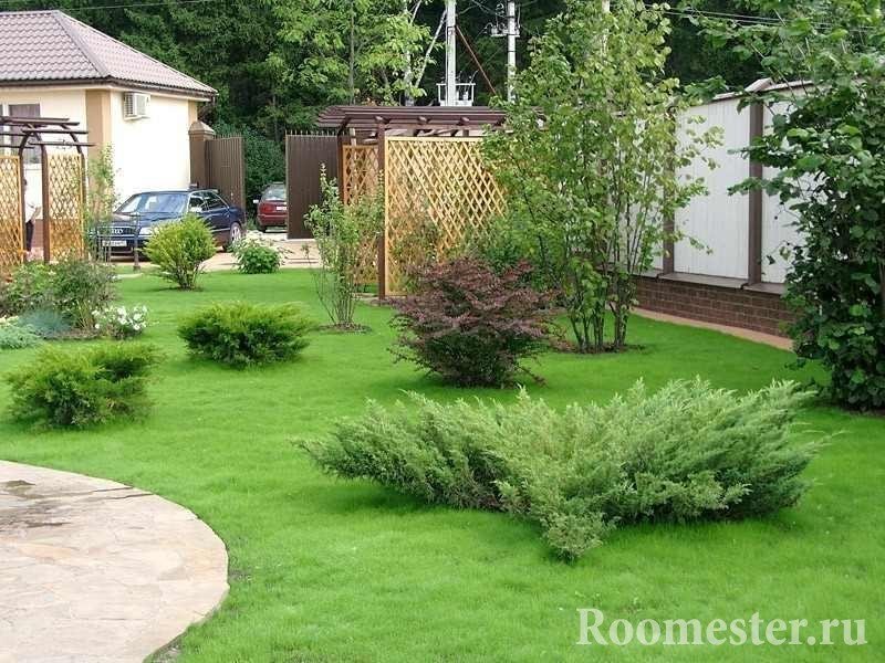 Газон и кустарники на участке
