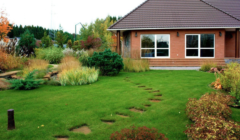 Кустарники перед домом