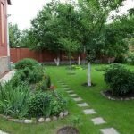 Озеленение участка 20 соток