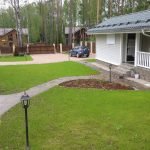 Газон на участке