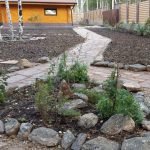 Березы у дома