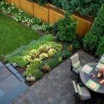 Кипарисы у забора