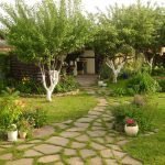 Горшки с цветами на участке