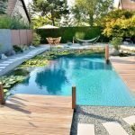 Лотосы в воде