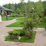 Можжевельник на клумбе