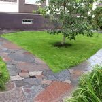 Дерево перед домом