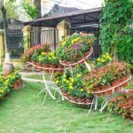 Дачный цветник