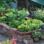 Ограждение для рассады