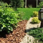 Кустарники в саду