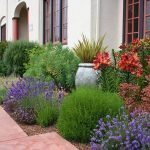 Экзотические цветы