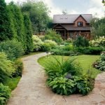 Кустарники у дома