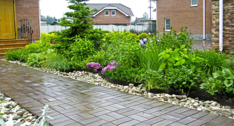 Насаждения у дома