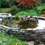 Декоративный пруд