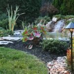 Водопад в саду