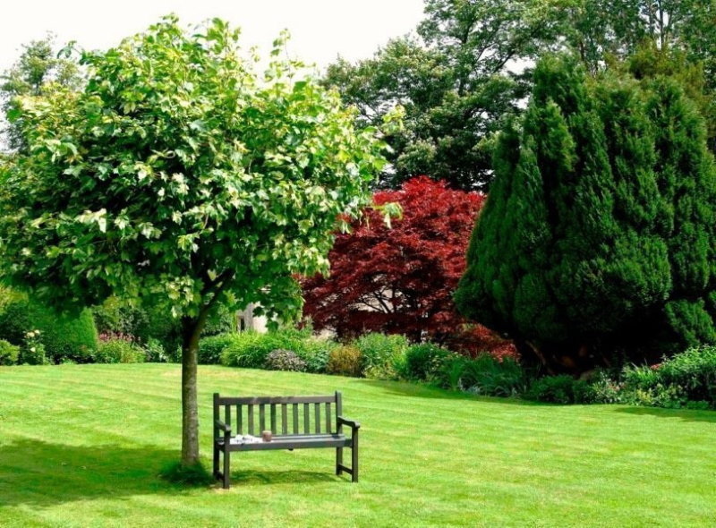 Роскошный сад на участке 15 соток