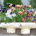 Деревянный горшок