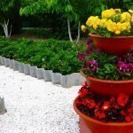 Дорожки в огороде