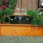 Кустарники у пруда