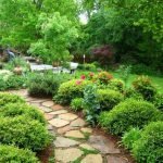 Декоративные кустарники