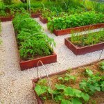 Спортивная площадка на узком участке