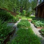 Дорожки между грядок