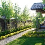 Деревья у забора