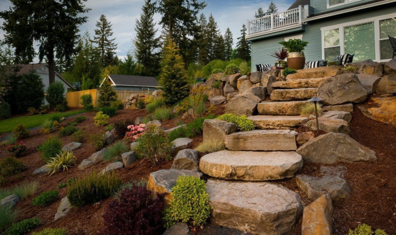 Декоративные кустарники среди камней