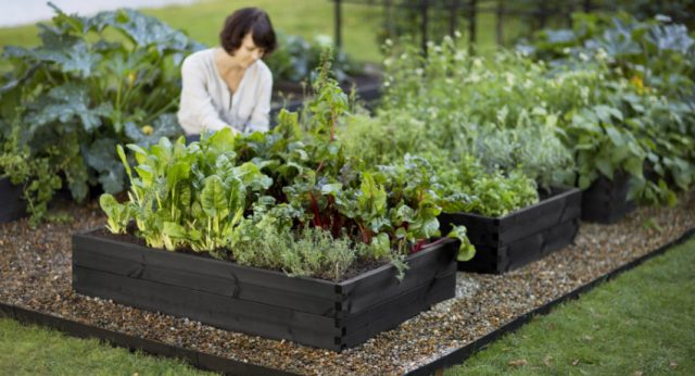 Особенности высоких грядок и их преимущество