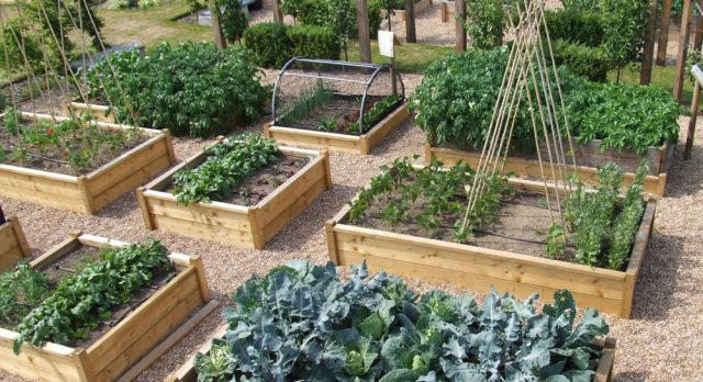 Особенности высоких грядок и их преимущество